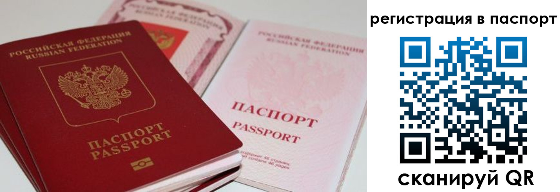 найти адрес прописки в Стародубе